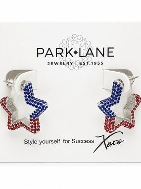 Park Lane Fireworks Earrings